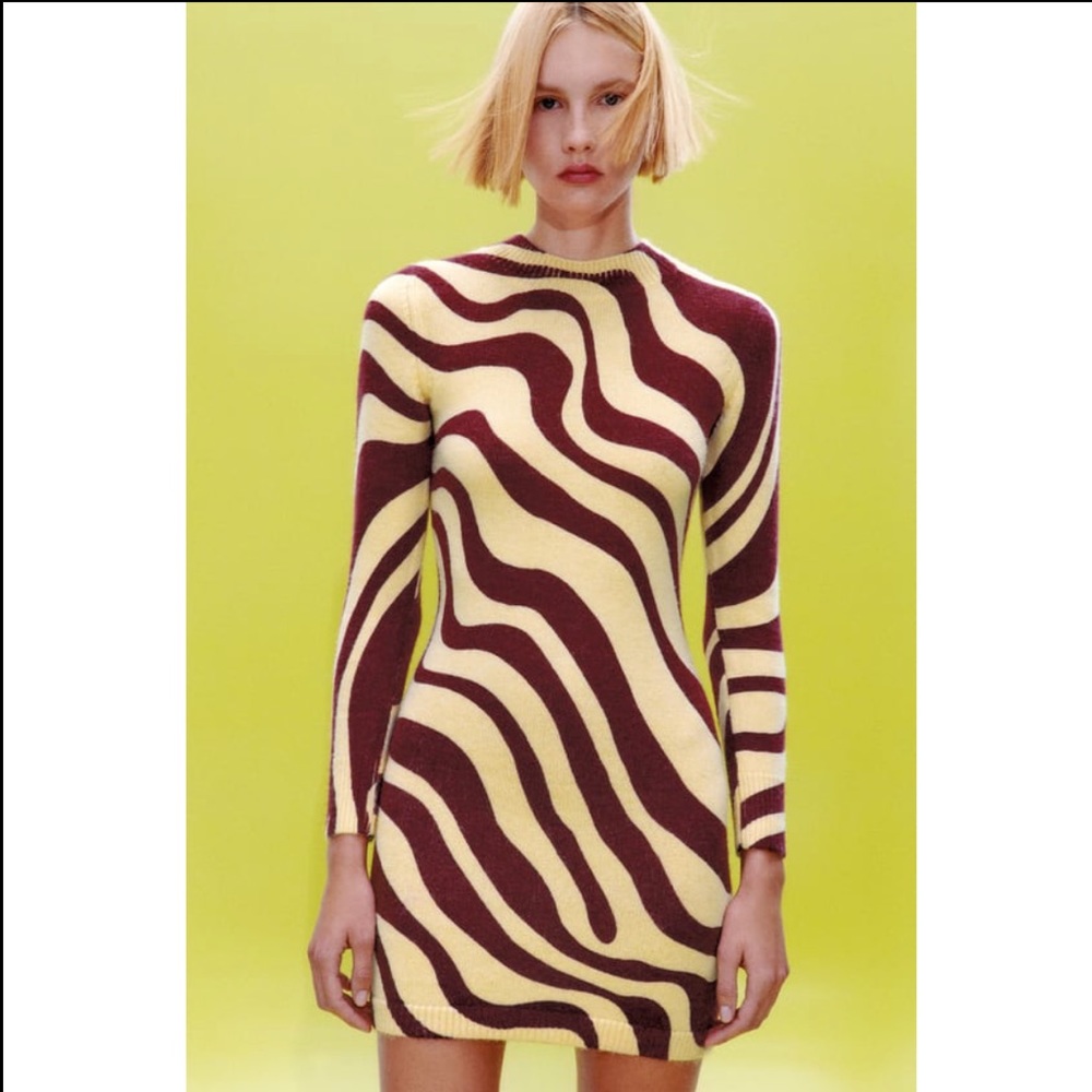Zara Jacquard Knit Dress